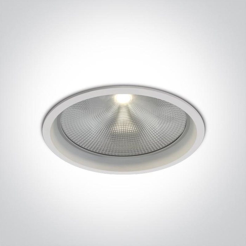 WHITE COB LED 30W CW + DRIVER 230V