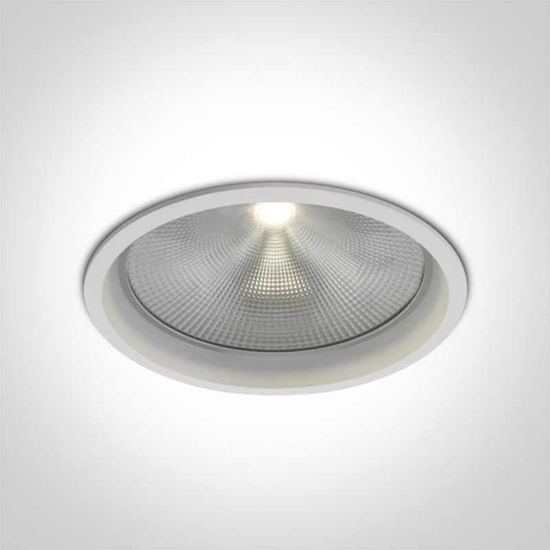 WHITE COB LED 40W WW + DRIVER 230V