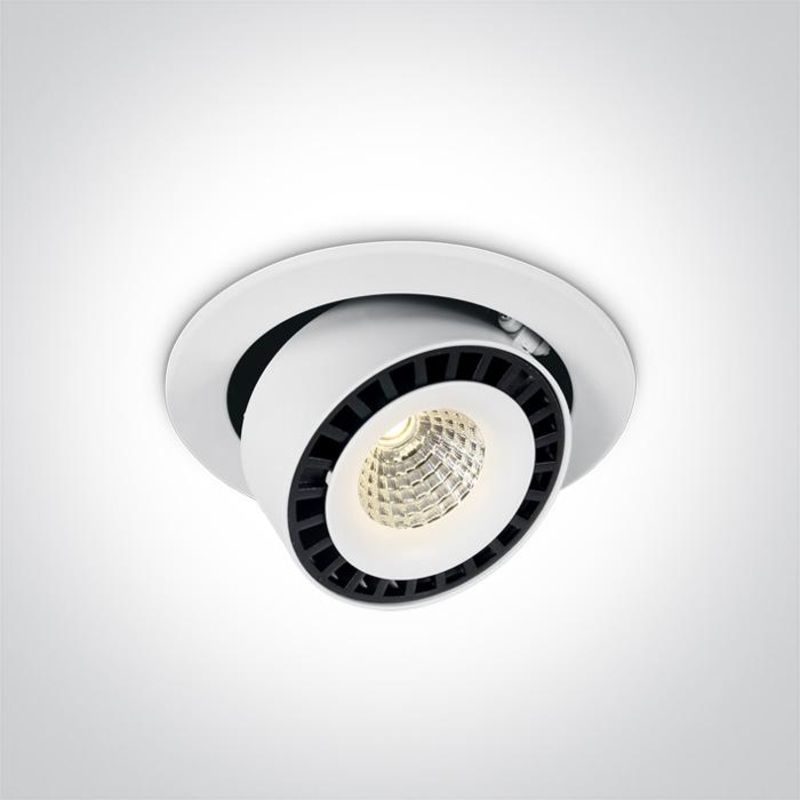 WHITE COB LED 25w CW 100-240V