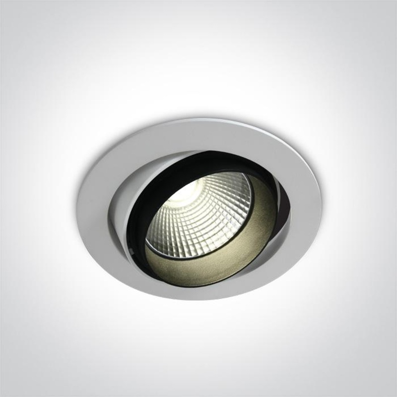 WHITE COB LED 38w CW 100-240v
