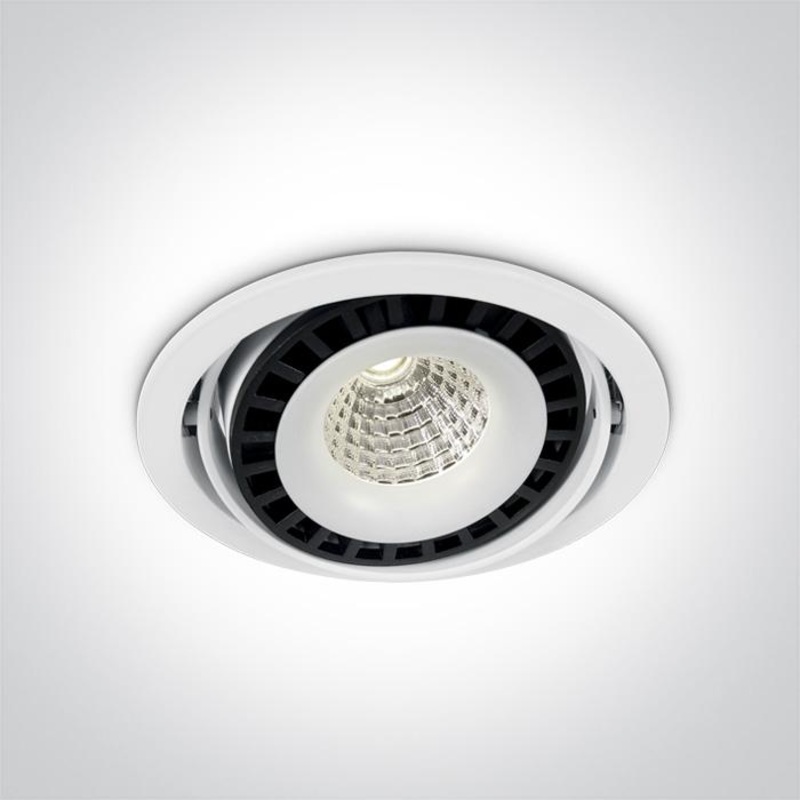 WHITE COB LED 50w CW 100-240V