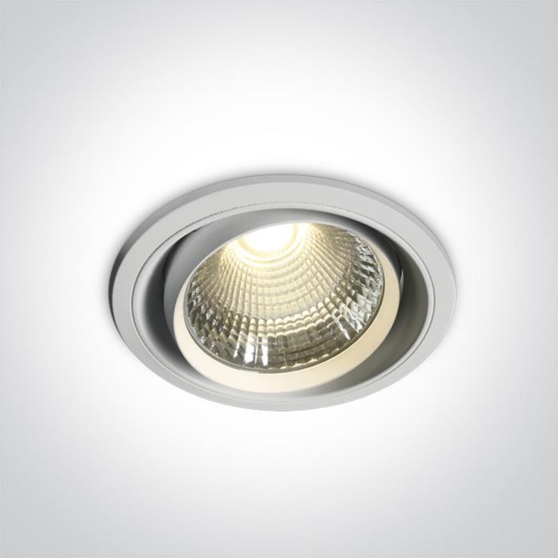 WHITE COB LED 50W CW 40deg 230V