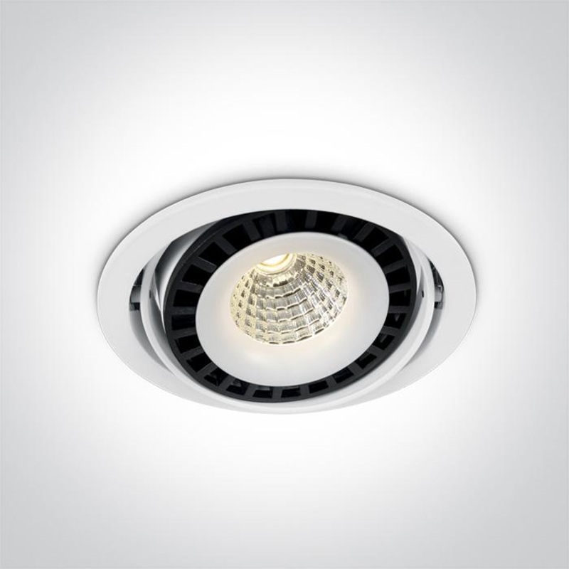 WHITE COB LED 50w WW 100-240V