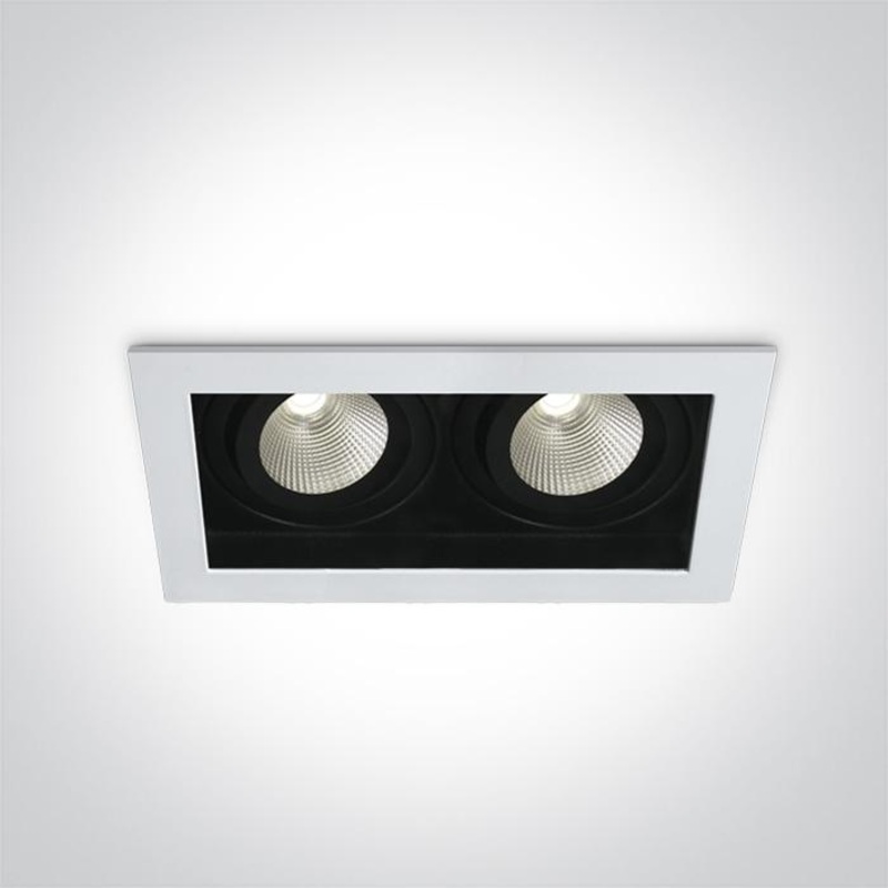 WHITE LED 2x12W CW IP20 700mA 40deg ADJUSTABLE SEMI DARK LIGHT