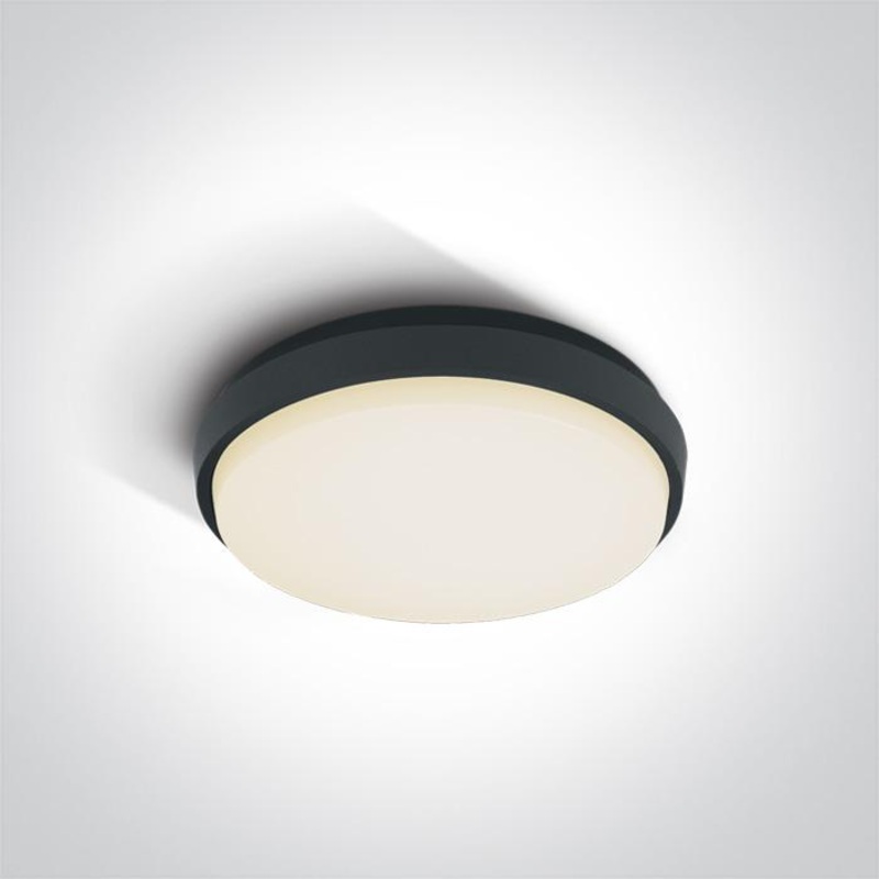 ANTHRACITE PLAFO LED 25W WW IP54 230V