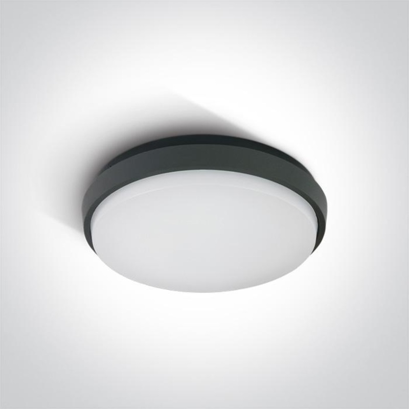 ANTHRACITE PLAFO LED 30W WW IP54 100-240V