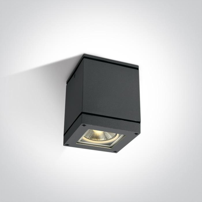 ANTHRACITE SQUARE CEIL PAR30 20W IP54