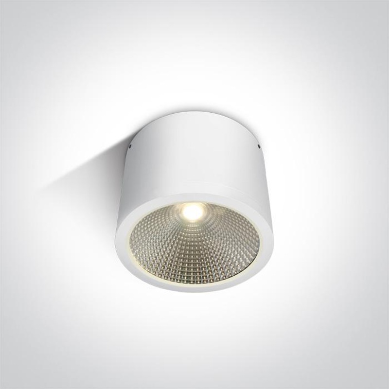 WHITE COB LED 25W WW IP54 60d 230V