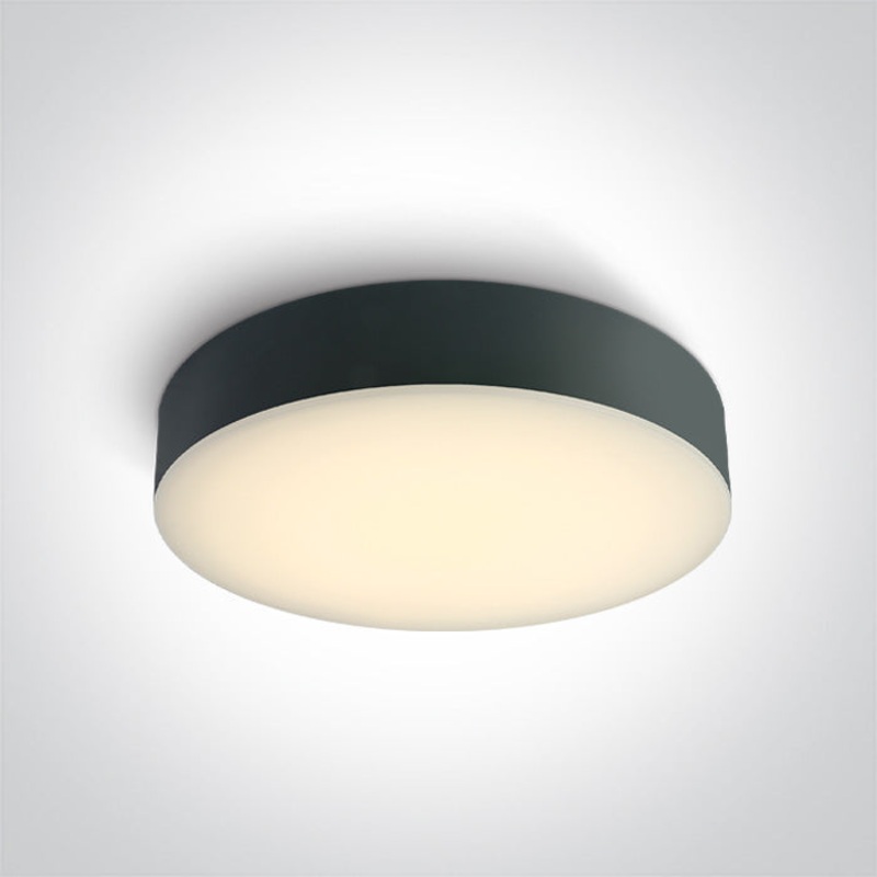 ANTHRACITE PLAFO 20W CCTV IP65 230V