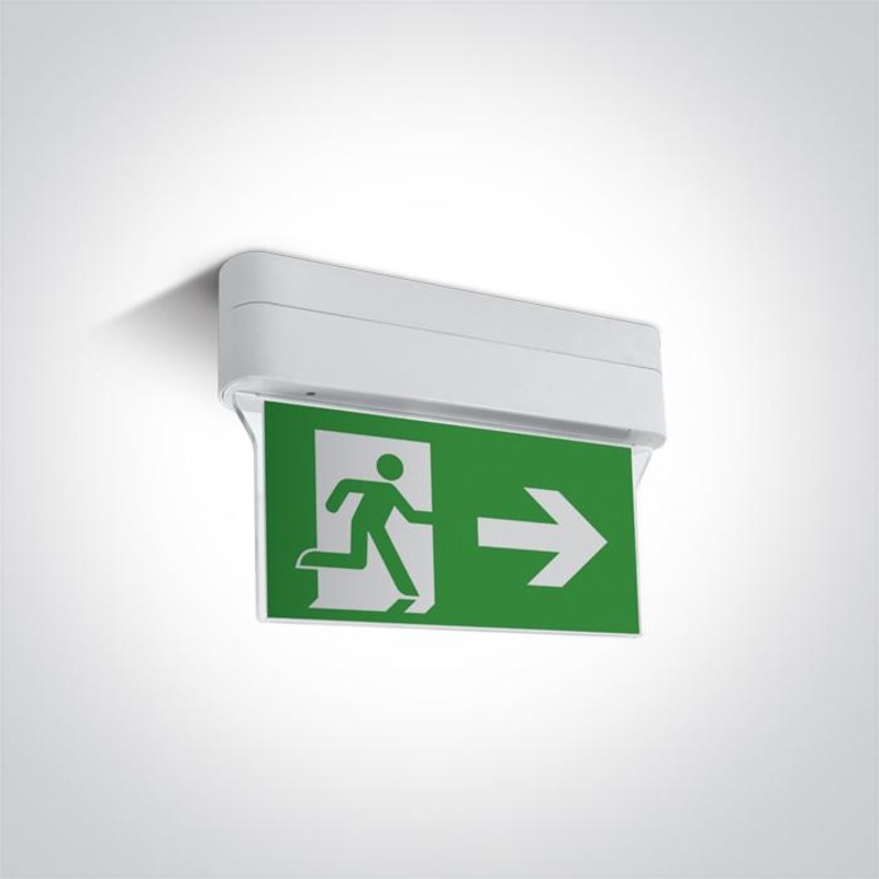 WHITE EMERGENCY LED 1W IP44 M3 hrs WALL/CEILING MOUNT 230V