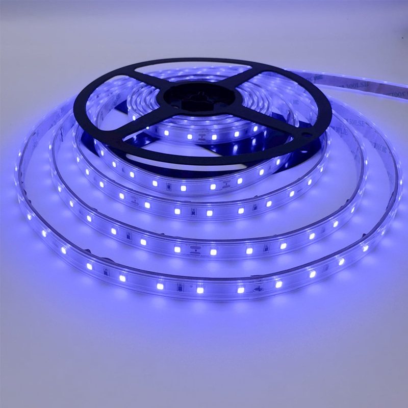 Single Colour LED Strip 5 W/m IP65 24V Blue 60 LEDs/m 5 Metre